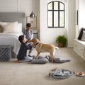 Is Wooden Flooring the Best Choice for Pet-Friendly Homes?